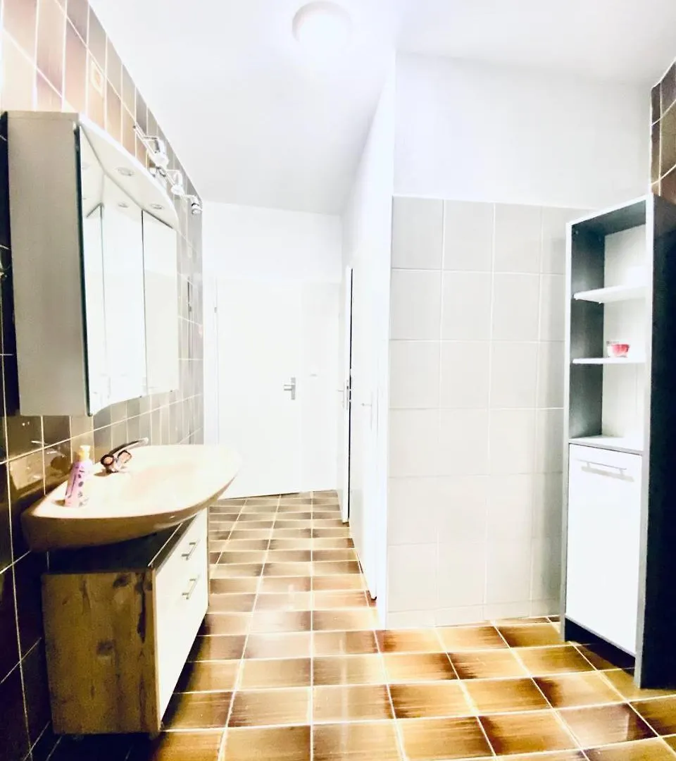 Spacious 4-Bedroom Shared Apartment For Big Groups Vienna