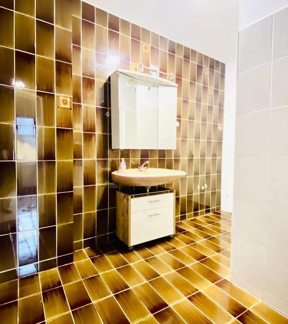 Spacious 4-Bedroom Shared Apartment For Big Groups Vienna