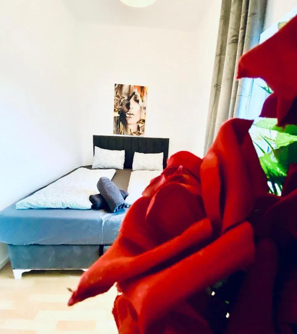 Spacious 4-Bedroom Shared Apartment For Big Groups Vienna Austria